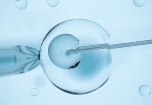 闭经不孕可以做试管吗