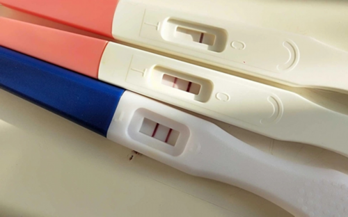 输卵管切除试管怀孕吗