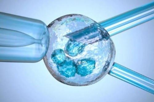 代孕中心官方网站,右侧卵巢囊肿的危害是什么？右侧卵巢囊肿有哪些症状？