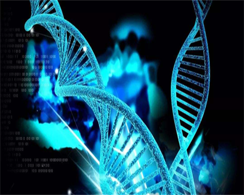 单角子宫做靠谱代生移植，比较佳囊胚数量是多少？看完你心中是否有答案？