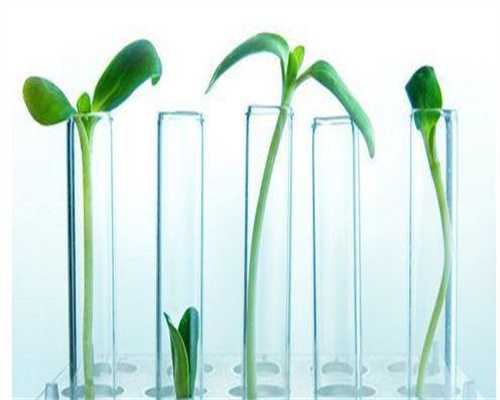 代生价格行情三代代生价格行情价格_江苏代生价格行情助孕生女儿