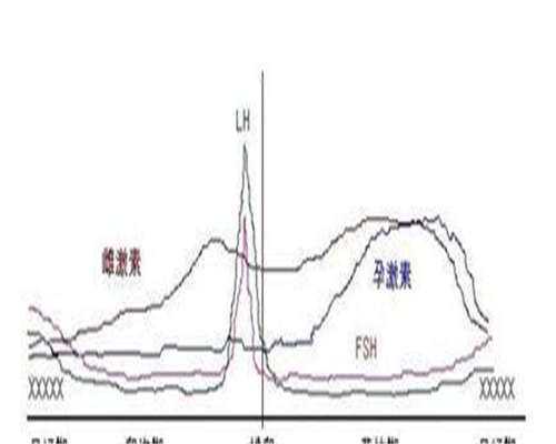 珠海试管一代二代三代多少钱？可能性有多大？
