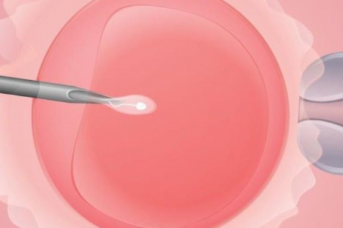 继杨威杨云后，又一大牌明星出现在泰国试管婴