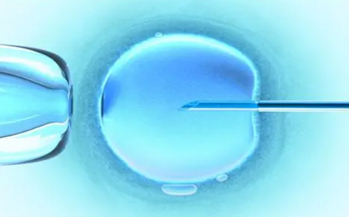 菏泽三代包成功代生成功率高吗