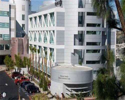 2026年日本成功率代生可信吗医院靠谱吗(日本代生可信吗成功率有多大)