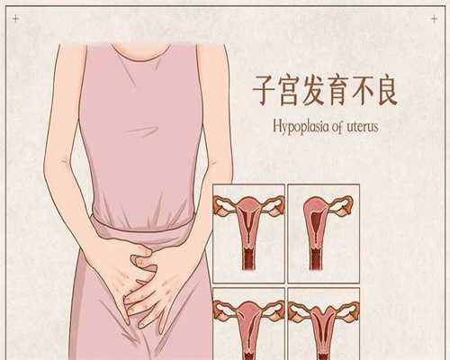 普洱代生的费用医院三代费用大概多少钱一次