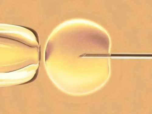 试管婴儿用大约多少天，试管婴儿用时多久