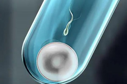 能做借卵试管-试管着床了为什么会胎停?胚胎停育有什么明显表现