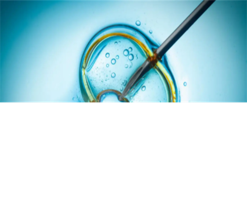 2026青岛三代试管助孕机构