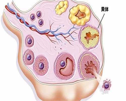 代孕前的准备,清宫手术对子宫有哪些伤害