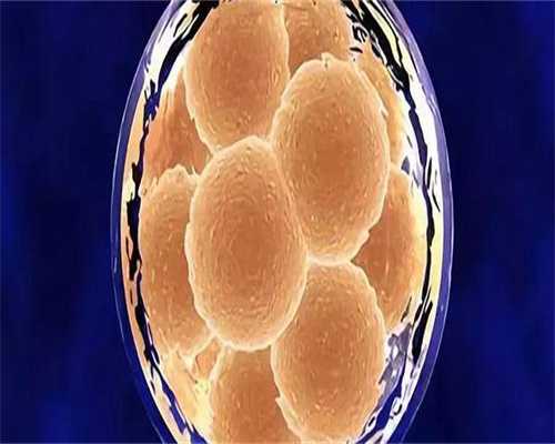 47岁绝经3年借卵做试管婴儿成功率有多少？