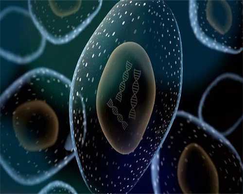 惠州骗子助孕医院网上咨询方式,比较新助孕机构费用清单参考