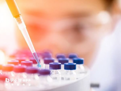 代生合法囊胚植入费用，代生合法囊胚移植成功率高吗