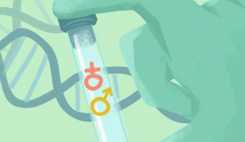 孕宝代孕网,多囊卵巢综合征做试管成功率高吗！具体要多少钱！