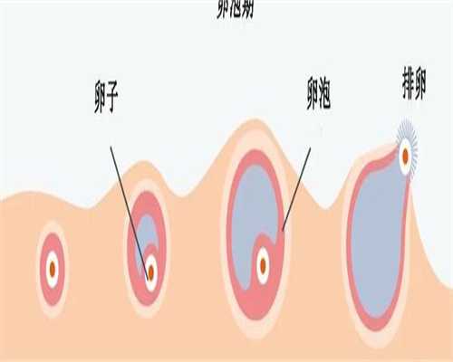 男的不孕可以做试管吗