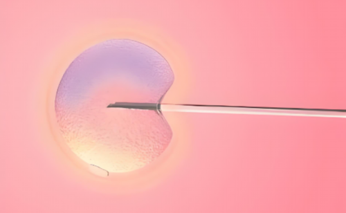 助孕包女孩价格,子宫里面长了一个囊肿？有哪些费用！