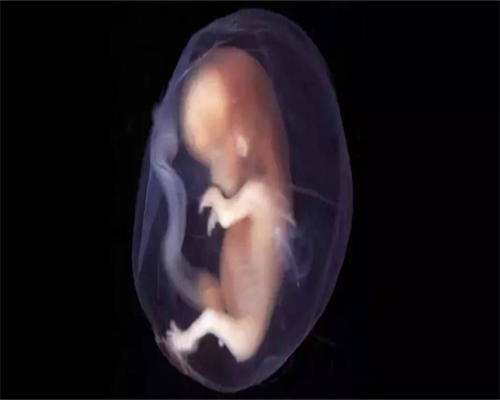 助孕包女孩费用,注射达必佳常见的4种副作用，卵巢囊肿竟是其一