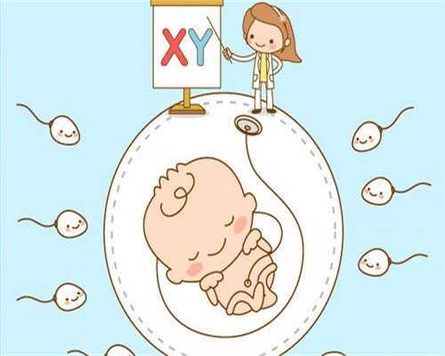 佳音医院可以供卵吗_试管技术求一个男孩多少钱,子宫内膜厚度24mm可以做胚胎移