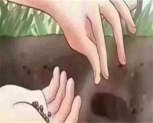 私立供卵机构成功率_国内可以冷冻精子吗,
              胚胎移植后出现浅色斑点