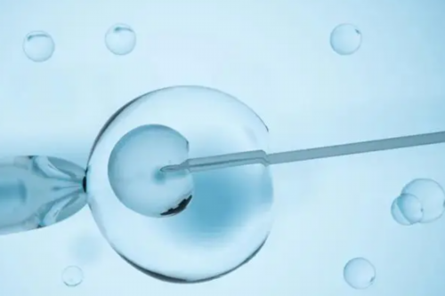 在潍坊做一次包成功代生套餐需要多少钱(怎么选择包成功代生套餐方案)