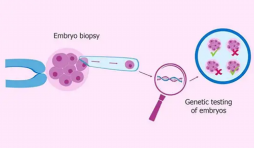哪家代孕靠谱,睾丸活检有生精细胞却没有精子还有希望吗？