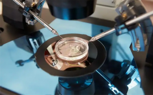 试管婴儿医院排名青岛_山东青岛试管十大排名医院