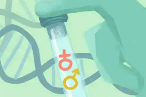 试管婴儿孕酮高怎么调