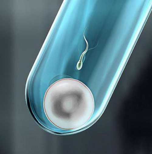 青岛做三代试管能包成功助孕吗(青岛试管婴儿三甲医院)