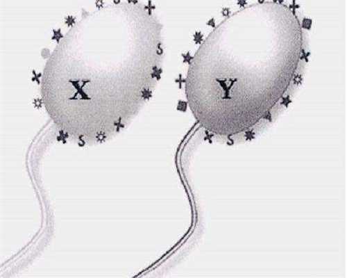 [宿州供卵代生宝宝]宿州哪家生殖中心能做二代供卵代生宝宝