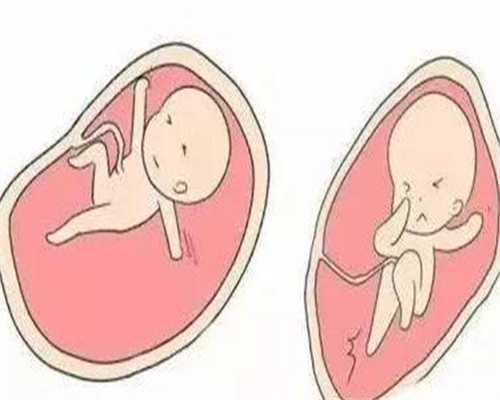 上海国际和平妇幼保健院三代代生价格多少成功率高吗？费用大致是多少！