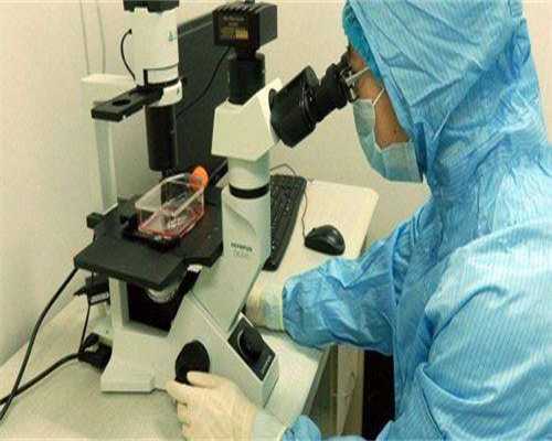 死精症做二代代生助孕成活率有多少