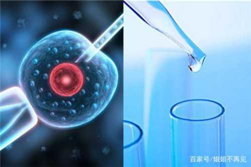 中泰代孕机构,做纵膈子宫多少钱能做试管(纵隔子宫能试管婴儿吗)