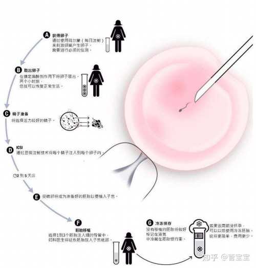 私立医院试管成功率_代孕公司哪家正规,胚胎移植后需要注意什么！胚胎移植后