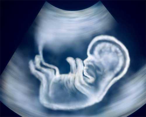 云南国内做找人代生医院的排名(云南国内做找人代生医院的排名榜)