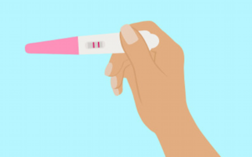 哪家做代孕试管好些,
              试管婴儿移植前吃褪黑素对胚胎着床有影响吗