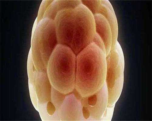 南京卵巢功能下降做几代试管-正规助孕网