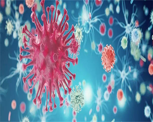 青岛比较大的助孕机构,附试管助孕方案