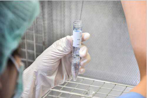 代生包生孩子_包成功保性别,备孕期是否适合洗牙？洗牙对备孕有何益处？