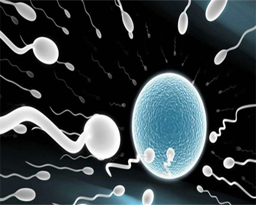 代孕在哪里做,卵巢早衰对试管婴儿的影响！卵巢早衰试管成功率高吗！