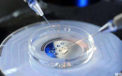 做试管婴儿到怀上需要多少钱