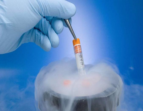 青岛试管私人医院成功率，含2026青岛助孕流程