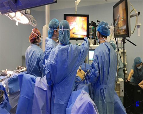 从云南去格鲁吉亚做私人医院借卵试管价格多少钱(格鲁吉亚私人医院借卵试管