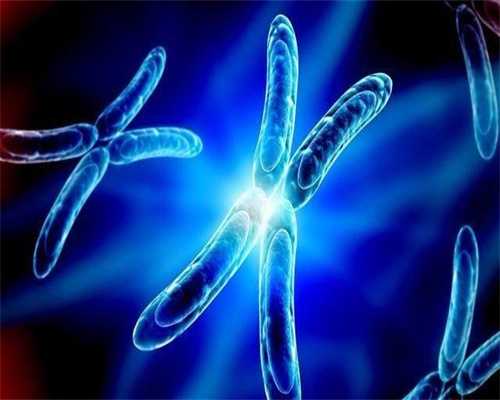 2026洛阳市妇幼保健做供卵试管的成功率高吗？附成功率、费用一览