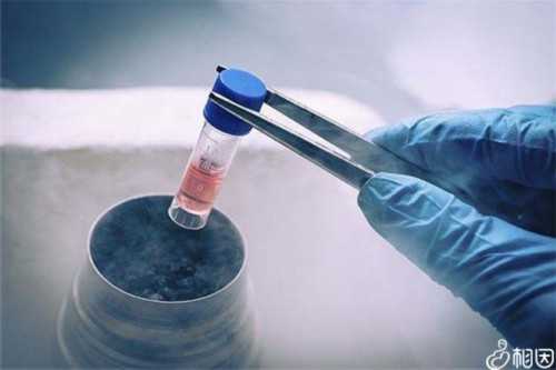 同性恋可以做试管婴儿吗？2026年同性试管费用盘点？