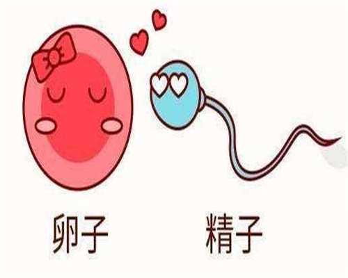 代孕双胞胎包成功,3号染色体3q29微缺失综合征？明细表已公开！