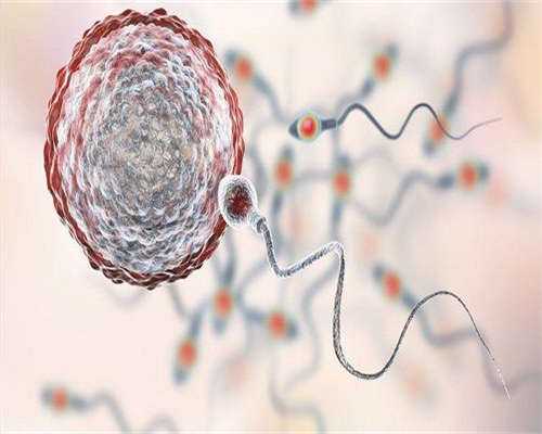 代孕公司哪家大_试管选男孩医院,为什么三代试管胚胎优质不着床