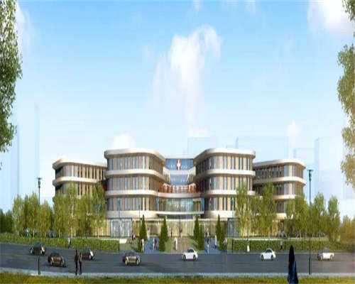 供卵助孕生儿子,先天性不孕不育能治好吗 治疗女性不孕症采取外治法