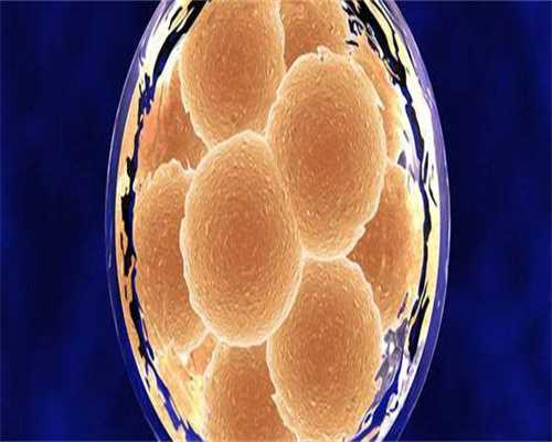 促排取卵28个能配成几个胚胎(取卵28个配成几个先别管)