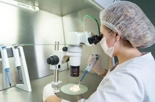 云南试管代怀生子公司哪里好(云南试管代怀生子公司成功率最高的医院)