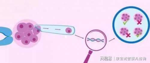 可靠的代妈_哪里可以代孕?,流产后排完卵11天就来月经原来13天这种情况